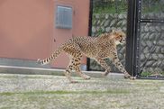 安佐動物公園